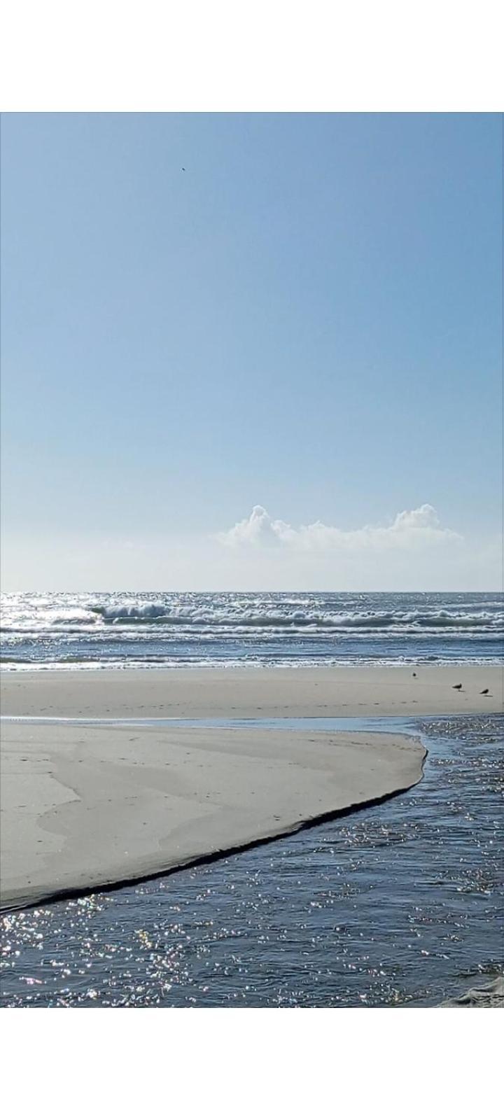 Atico Maravilloso En Cangas , Vigo Quarto foto